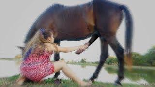 Basics Village Cute Girl Dance for Training Horse Care for Beginners - How to training a horse care