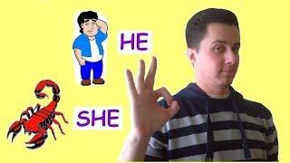 Virgo man Scorpio woman (Chances for Happy Love)