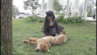 Funny Dog Playing with Cute Girls || Best Funny Video ||  Amazing Love Tusty