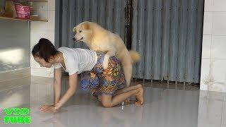 Funny Dog Love And Hug His Owner So Much,Cute Girl Happy To Play With Her Dog TOTO At Home