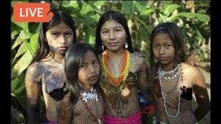 LIVE: BBC Documentary - Isolated Wildlife Girls In Amazon Hunting Animals 2018 - Wild Animals Fights
