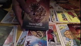 Tarot Scorpio woman month January: Finance, Education, Work and Love