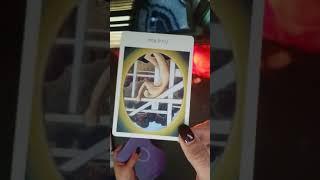 Question & Answer Tarot Love Reading | Scorpio | Taurus libra Gemini man woman ex dating a cancer no