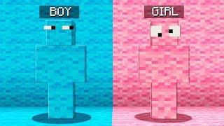 Boy vs Girl Minecraft Hide and Seek Challenge!