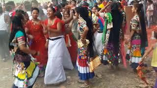 Tharu Girls Dance ko Dhamakedar Video || Nepali Song || Bhojpuri DJ Song 2019 || New DJ Song