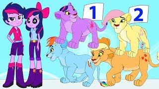 MLP Equestria Girls Species Swap Collection Animation - My Little Pony Video Episode For Kids HD NEW