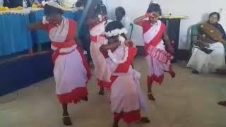 Indian school dance : girls dance perfomance