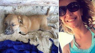 Woman On A Holiday Falls In Love And Brings Home A Stray Dog!